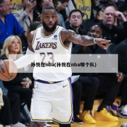 孙悦在nba(孙悦在nba哪个队)