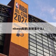 nbaqq皮肤(皮肤是什么)